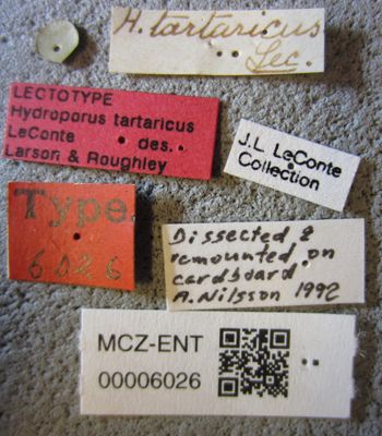 Media type: image;   Entomology 6026 Aspect: labels